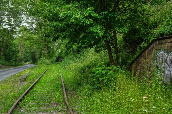 Бывшая Железнодорожная Линия Велосипедная Дорожка Вуппертале — стоковое фото