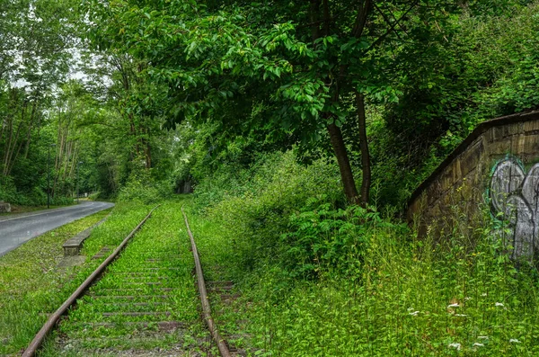 Wuppertal Daki Eski Tren Yolu Bisiklet Yolu — Stok fotoğraf