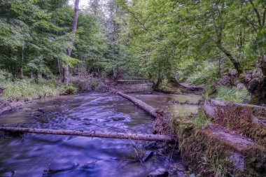 Burscheid yakınlarındaki ormandaki Eifgenbach deresinin manzarası.
