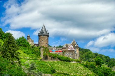 Bacharach yakınlarındaki üzüm bağlarındaki tarihi şato.