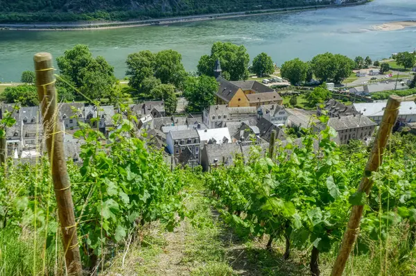 Vista Através Bacharach Através Das Vinhas — Fotografia de Stock