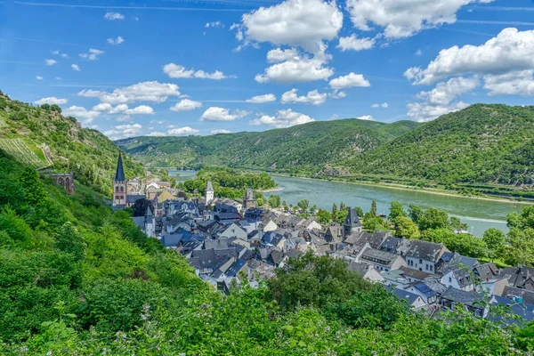 Vineyards Bacharach Rhine — Stock Photo, Image