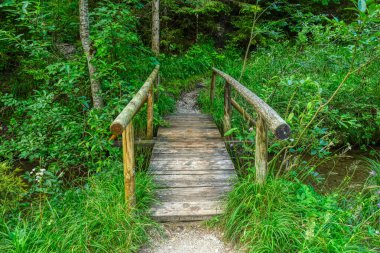 Wood bridge on a hiking trail to lake Lautersee near Mittenwald
