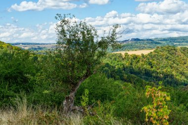 View across the Taunus landscape near Balduinstein
