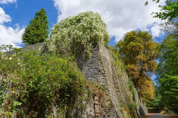 Historical Walls Schaumburg Castle Mountains Balduinstein River Lahn — Foto de Stock
