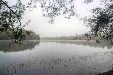 Sonbaharda Düsseldorf Kalkum gölünde sabah sisi