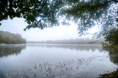 Sonbaharda Düsseldorf Kalkum 'da bir göl manzarası