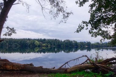 Kaarster 'a bak Önde bir ağaç ve göle bak