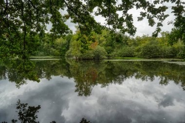 Wahner Heide Heathland 'daki Leyenweiher göletinin sonbaharda manzarası