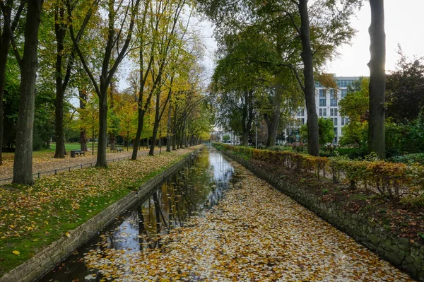 Canal Água Parque Público Dusseldorf Outono — Fotografia de Stock