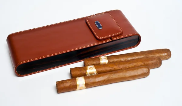 Cigars on the case — Stock Photo, Image
