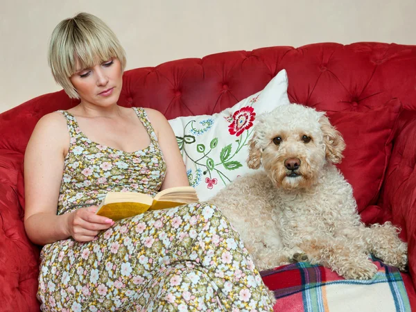 Женщина с книгой и собакой — стоковое фото