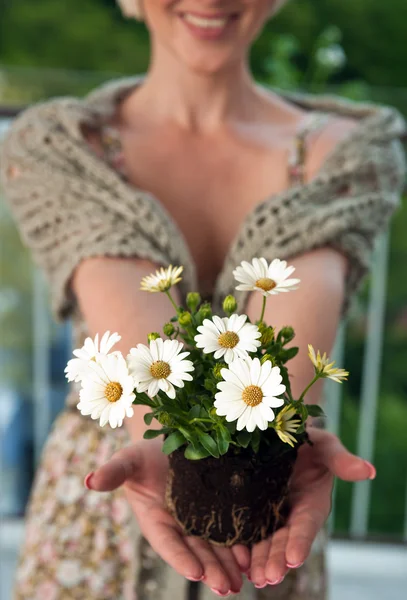 Mulher segurando nova planta — Fotografia de Stock