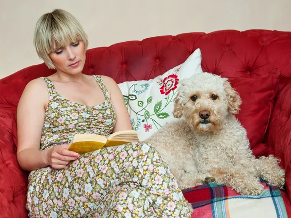 Mujer con libro y perro Fotos de stock