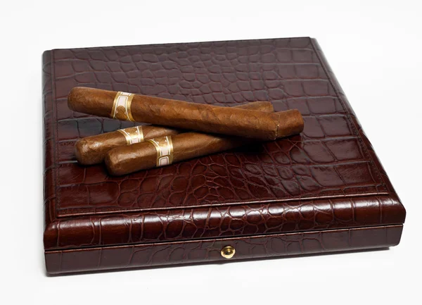 Cigars on the case — Stock Photo, Image