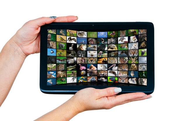 woman hands with tablet