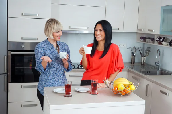 Woman friends chatting — Stock Photo, Image