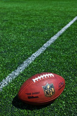 NFL Futbol sahasındaki