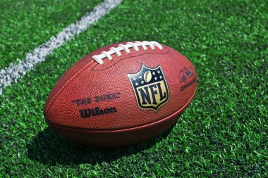 NFL Futbol sahasındaki