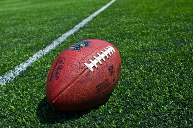 NFL Futbol sahasındaki