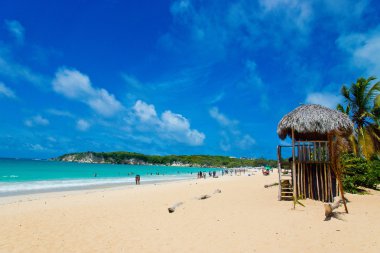 tropikal Karayipler beach