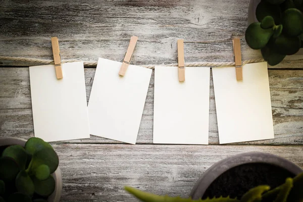 Ahşap bir arka planda bitkilerle birlikte özel bir mesaj için 4 boş kart..