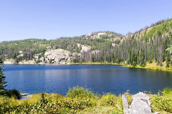 Colorado 'nun vahşi dağlarındaki Granit Gölü.