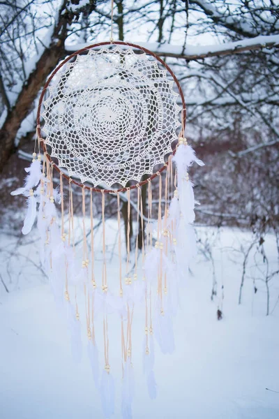 Drömfångare Snö Mystisk Shamanamulett — Stockfoto