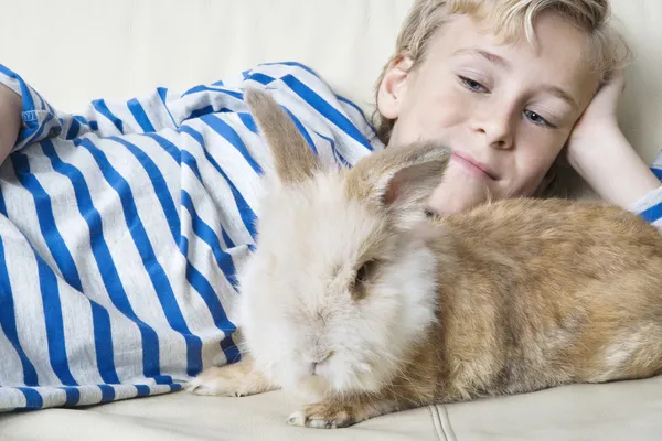 Jonge jongen streelde zijn huisdier konijn thuis. — Stockfoto