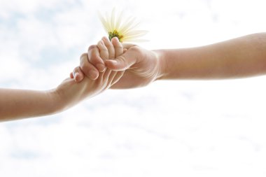 Two young girls' hands being held against the sky while holding a flower.