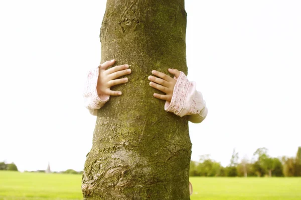 Händerna på en ung flicka krama ett träd i parken samtidigt gömma sig bakom stammen. — Stockfoto