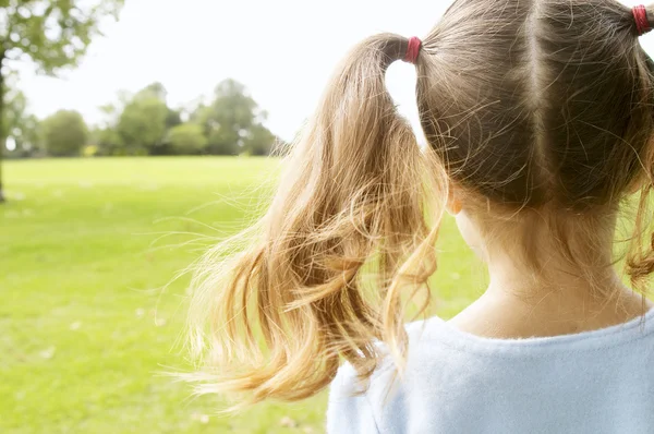 Back view of a young girl looking at horizon and wearing two ponytails in the park — Stock Photo, Image