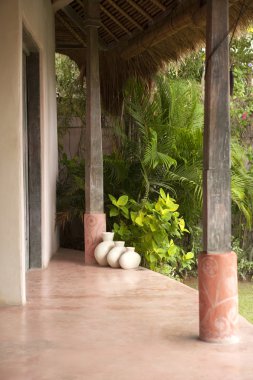 tropik bir yerde bahçe manzarası