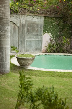 Yüzme havuzlu bir tropik bahçe manzarası