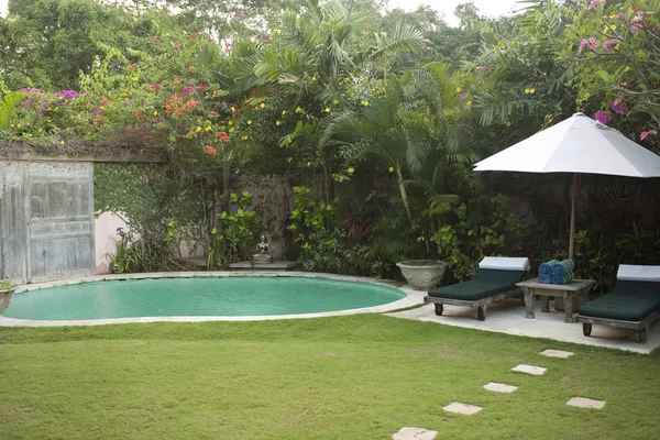 Jardim tropical e piscina . — Fotografia de Stock