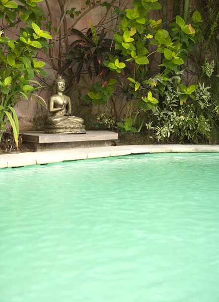 Tropical garden and swimming pool with Buddha statue. — Stock Photo, Image