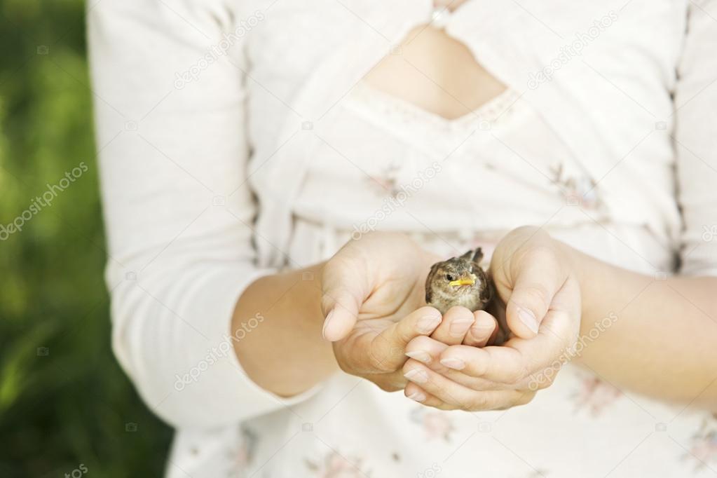 Close up of girl's hands holding a baby bird in them.