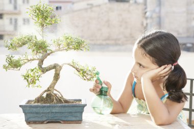 Portrait of a young girl watering a bonsai tree clipart