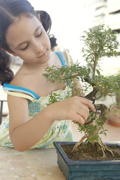 Menina jovem concentrada em aparar uma árvore de bonsai em forma . — Fotografia de Stock