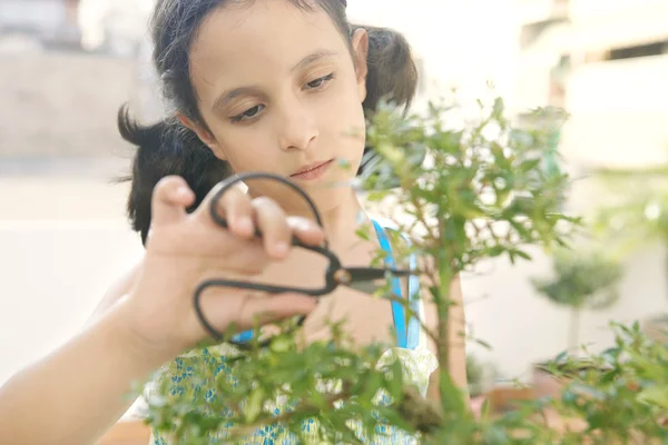 Retrato de una joven concentrada en cortar un árbol de bonsái —  Fotos de Stock