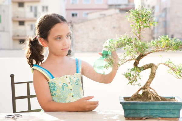 Jeune fille pulvérisation d'eau avec une bouteille sur un bonsaï arbre — Photo