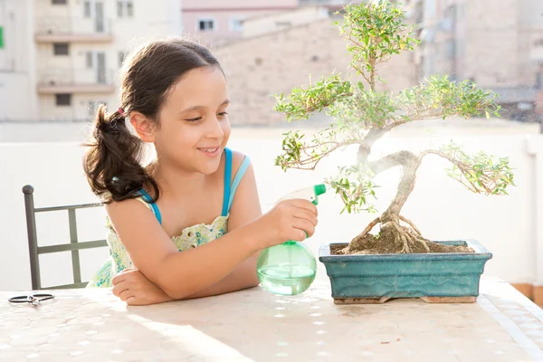 Jong meisje sproeien van water met een fles op een bonsai boom — Stockfoto