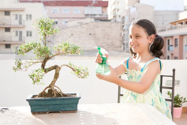 Giovane ragazza spruzzando acqua con una bottiglia su un albero bonsai — Foto Stock