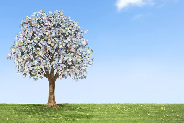 Euro money tree growing on green land with a blue sky. — Stock Photo, Image