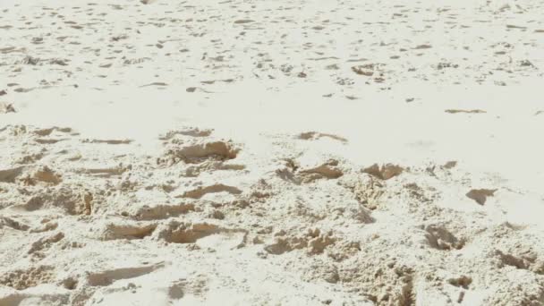 Primer plano de una chica haciendo volteretas en una playa de arena blanca . — Vídeos de Stock