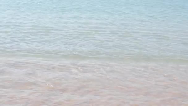 Girl jumping onto the sea shore. — Stock Video