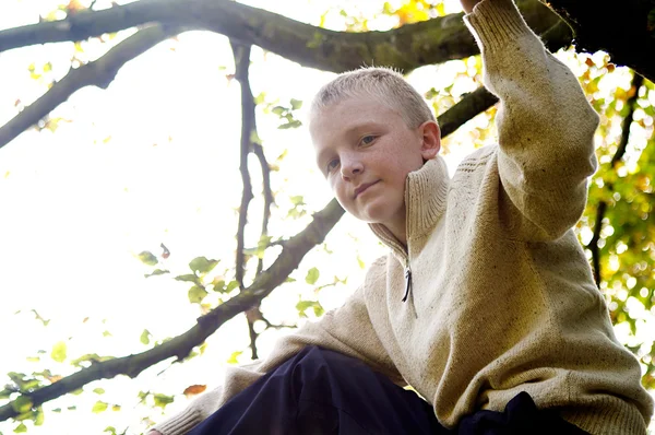 Oy climbing a tree — Stock Photo, Image