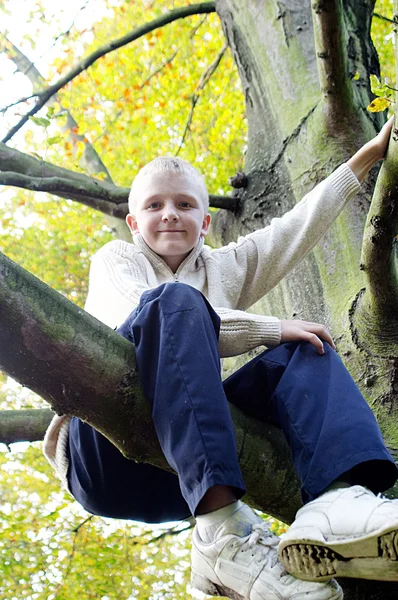 Oy climbing a tree — Stock Photo, Image