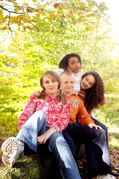 Freunde sitzen zusammen im Park — Stockfoto