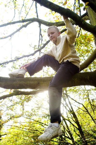 Oy climbing a tree — Stock Photo, Image